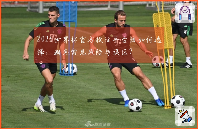 2026世界杯官方投注平台该如何选择，避免常见风险与误区？