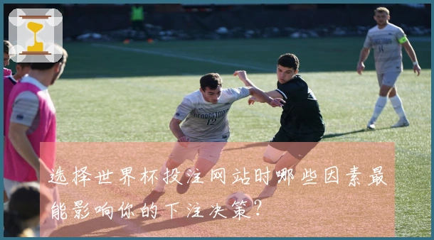 选择世界杯投注网站时哪些因素最能影响你的下注决策？