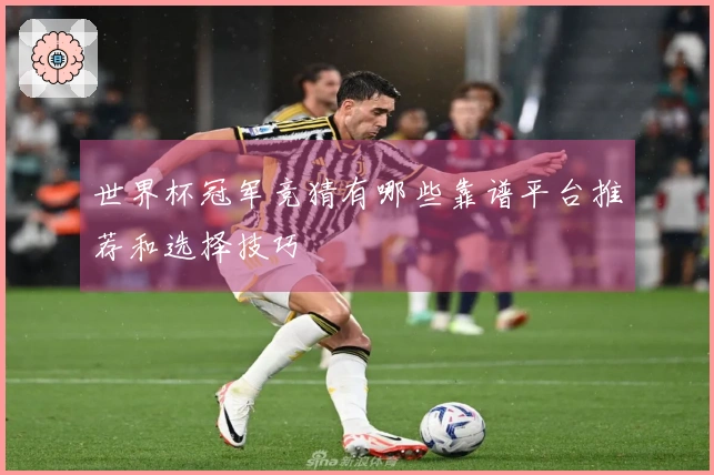 世界杯冠军竞猜有哪些靠谱平台推荐和选择技巧
