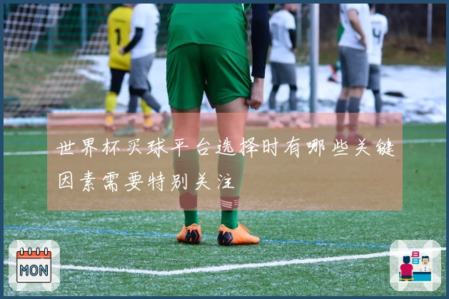 世界杯买球平台选择时有哪些关键因素需要特别关注