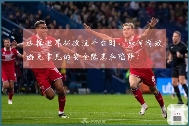 选择世界杯投注平台时，如何有效避免常见的安全隐患和陷阱？