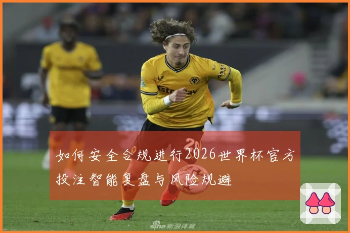 如何安全合规进行2026世界杯官方投注智能复盘与风险规避