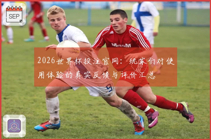 2026世界杯投注官网：玩家们对使用体验的真实反馈与评价汇总