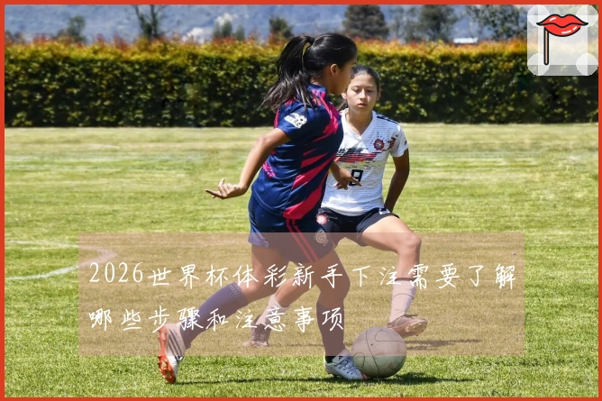 2026世界杯体彩新手下注需要了解哪些步骤和注意事项