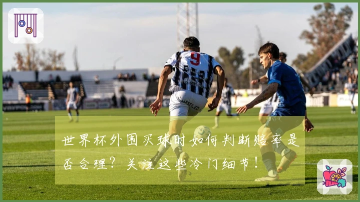世界杯外围买球时如何判断赔率是否合理？关注这些冷门细节！