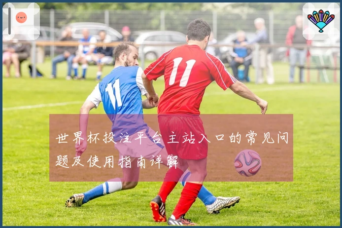 世界杯投注平台主站入口的常见问题及使用指南详解