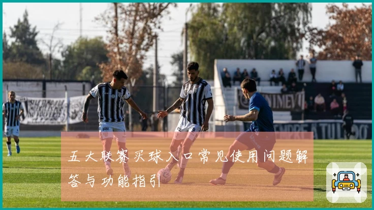 五大联赛买球入口常见使用问题解答与功能指引