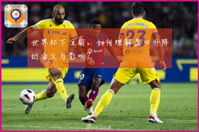 世界杯下注前，如何理解盘口升降的含义与影响？