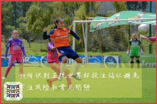 如何识别正规世界杯投注站以避免下注风险和常见陷阱