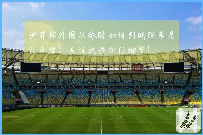 世界杯外围买球时如何判断赔率是否合理？关注这些冷门细节！