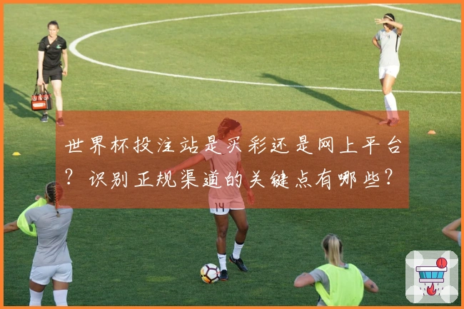 世界杯投注站是买彩还是网上平台？识别正规渠道的关键点有哪些？
