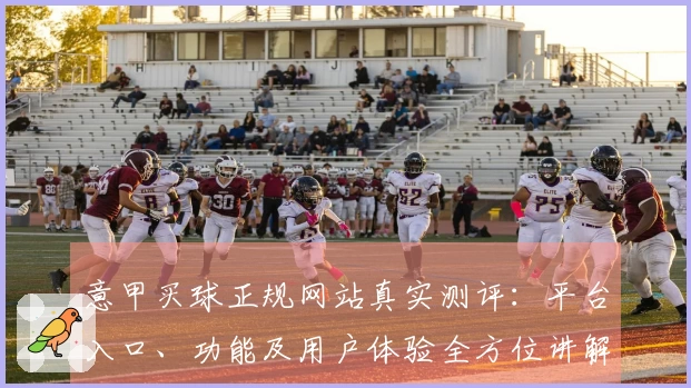 意甲买球正规网站真实测评：平台入口、功能及用户体验全方位讲解