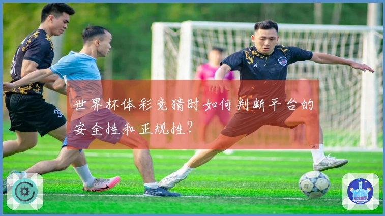 世界杯体彩竞猜时如何判断平台的安全性和正规性？