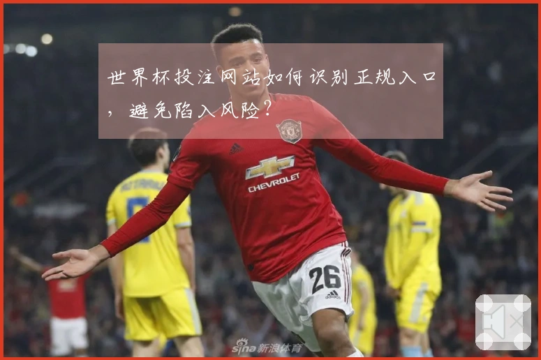 世界杯投注网站如何识别正规入口，避免陷入风险？