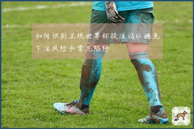 如何识别正规世界杯投注站以避免下注风险和常见陷阱