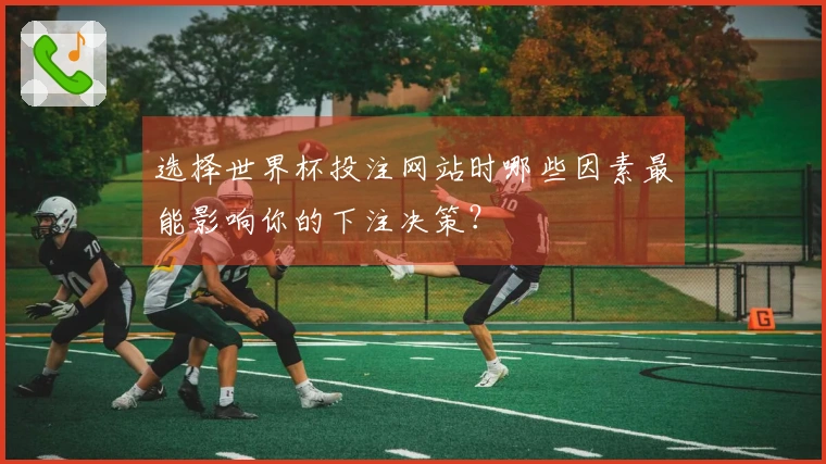 选择世界杯投注网站时哪些因素最能影响你的下注决策？