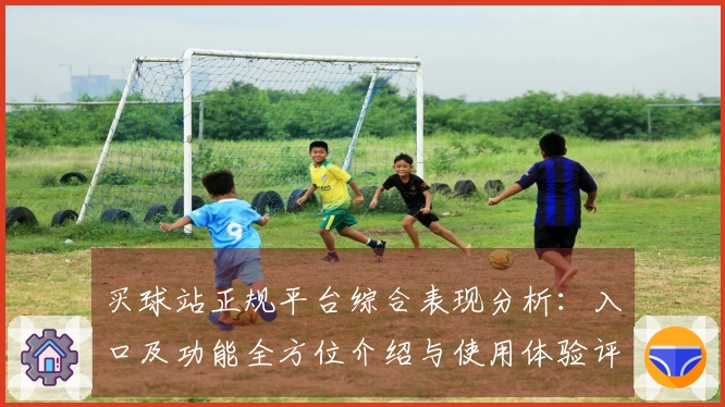 买球站正规平台综合表现分析：入口及功能全方位介绍与使用体验评测