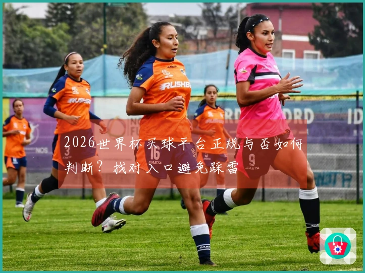 2026世界杯买球平台正规与否如何判断？找对入口避免踩雷