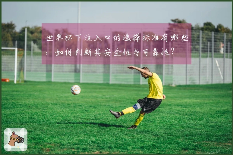 世界杯下注入口的选择标准有哪些，如何判断其安全性与可靠性？