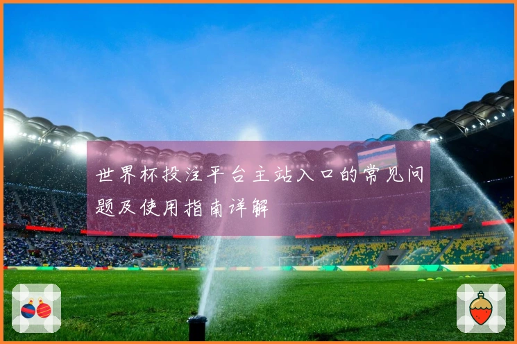 世界杯投注平台主站入口的常见问题及使用指南详解